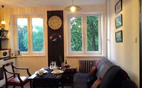 Absolutely Apartment